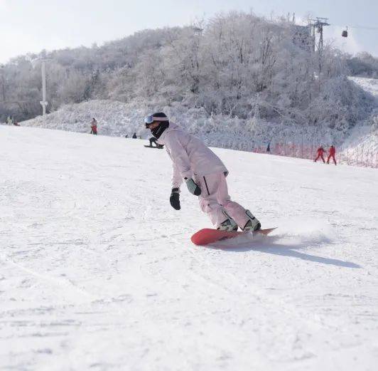 关于高山雪域极速越野，跨越冰雪的速度狂欢的信息