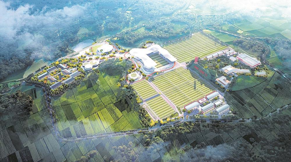 关于重点城市建设足球主题公园，推广全民运动的信息